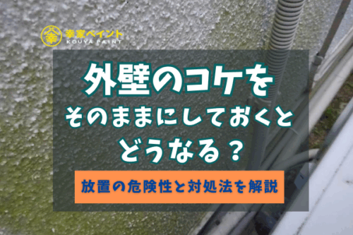 【藤沢市の皆様へ】外壁に苔が生える原因と正しい対処法｜再発防止には外壁塗装が効果的！