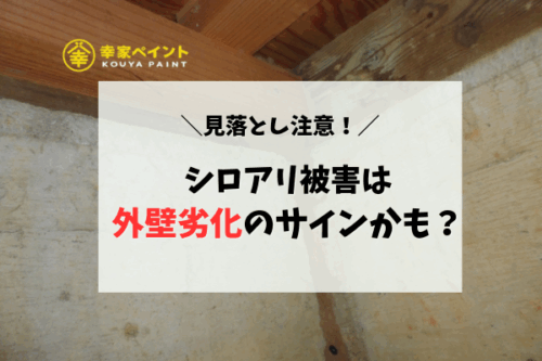 【見落とし注意】シロアリ被害は外壁劣化のサインかも？特徴と対策を徹底解説｜藤沢市で住まいを守るメンテナンス