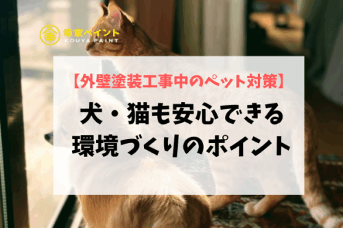 【外壁塗装工事中のペット対策】犬・猫も安心できる環境づくりのポイント