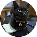 makima profile picture