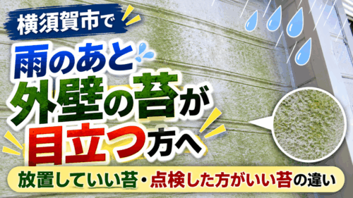 横須賀市で雨のあと外壁の苔が目立つ方へ｜放置していい苔・点検した方がいい苔の違い